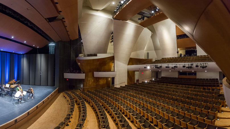 Vicente Chamber Orchestra | 08 February 2025 — *CANCELLED*